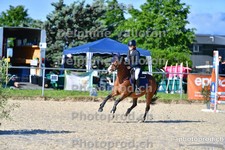 ref. photo 3159937