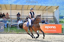 ref. photo 3160012