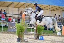 ref. photo 3160116