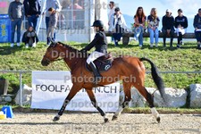 ref. photo 3160131