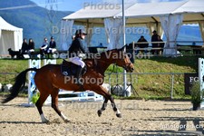 ref. photo 3160137