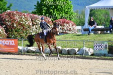 ref. photo 3160139