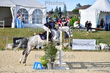 ref. photo 3160153