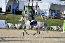 ref. photo 3160156