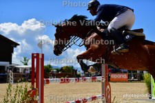ref. photo 3160173