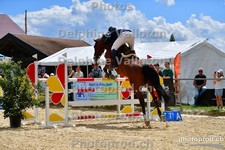 ref. photo 3160179