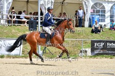 ref. photo 3160180