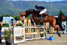 ref. photo 3160185