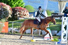 ref. photo 3160207