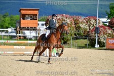 ref. photo 3160223