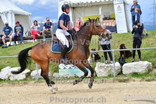 ref. photo 3160234
