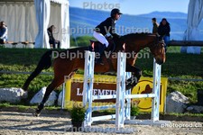 ref. photo 3160297