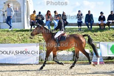 ref. photo 3160305