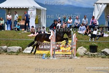 ref. photo 3160338