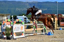 ref. photo 3160508