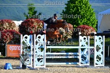 ref. photo 3160509