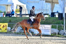 ref. photo 3160510