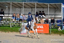 ref. photo 3160522