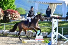 ref. photo 3160658