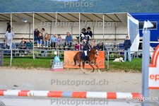ref. photo 3160709