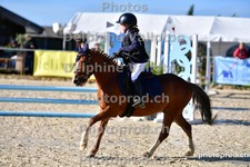ref. photo 3160727