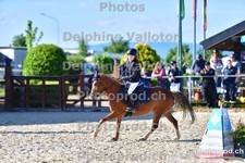 ref. photo 3160728