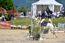 ref. photo 3160788