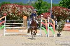 ref. photo 3160804