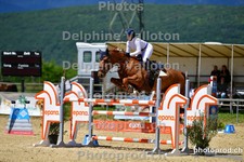 ref. photo 3160842