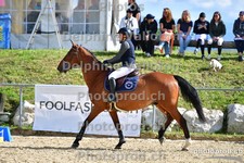 ref. photo 3161043
