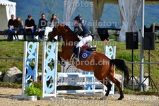 ref. photo 3161044