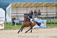 ref. photo 3161047