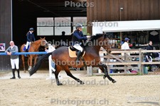 ref. photo 3161054