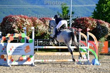 ref. photo 3161114