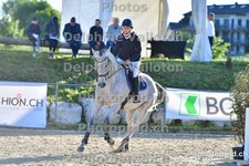ref. photo 3161117