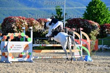 ref. photo 3161136