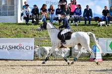 ref. photo 3161142