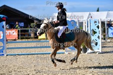 ref. photo 3161174
