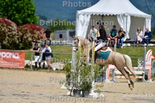 ref. photo 3161188