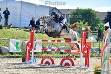 ref. photo 3161219