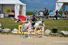 ref. photo 3161376