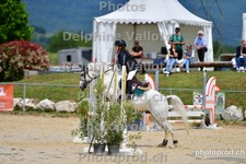 ref. photo 3161379