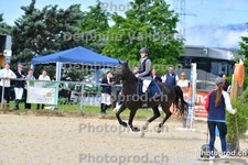 ref. photo 3161389