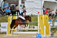 ref. photo 3161420