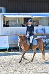 ref. photo 3161473