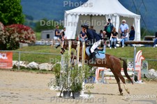 ref. photo 3161483