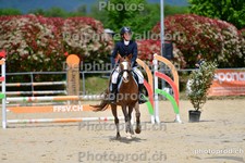 ref. photo 3161485