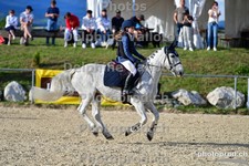 ref. photo 3161499