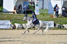 ref. photo 3161501