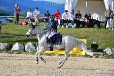 ref. photo 3161504